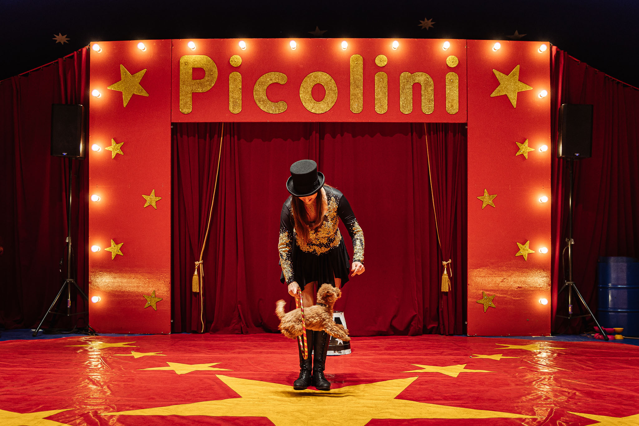 circus picolini, circus picolini wijnendale, torhout, eventfotografie, evenement fotografie